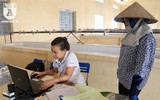 Có một nguồn cung rau an toàn dồi dào cho nội thành Hà Nội